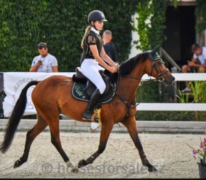 OLIVER3