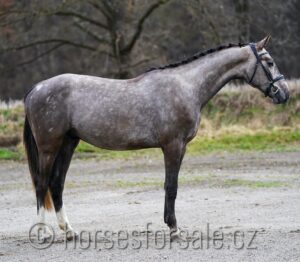 CEZAR2