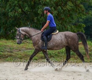 CEZAR1