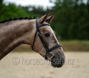 CEZAR3