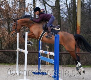 CORNELIE0