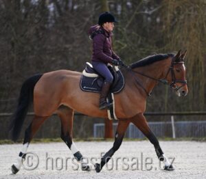 CORNELIE2