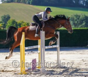 LARGO1