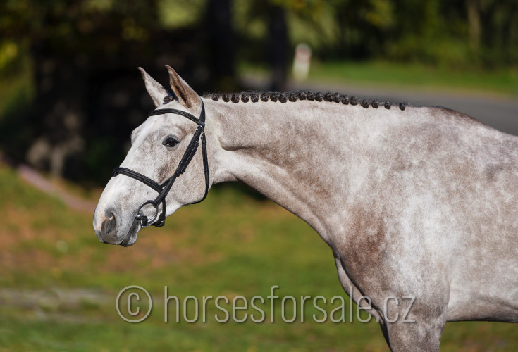 CASPIAN