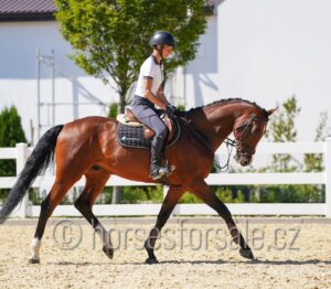MA CHERIE2